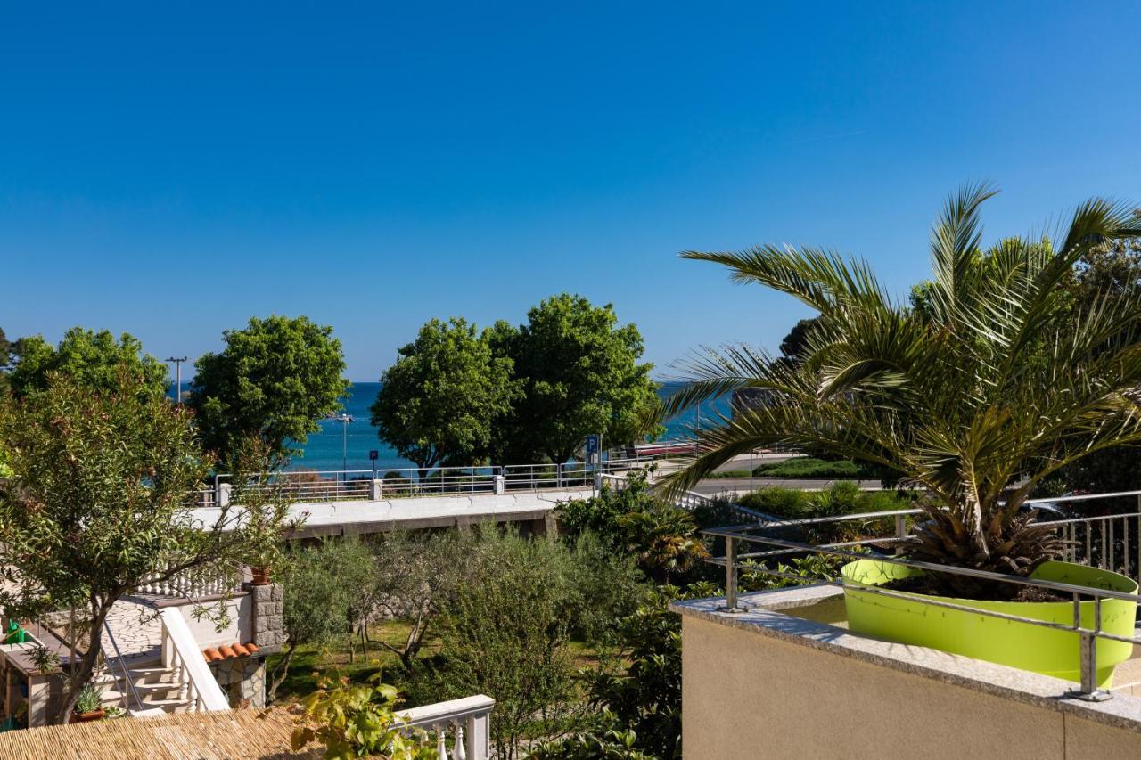 Apartment Portapisana Just 50m From The *