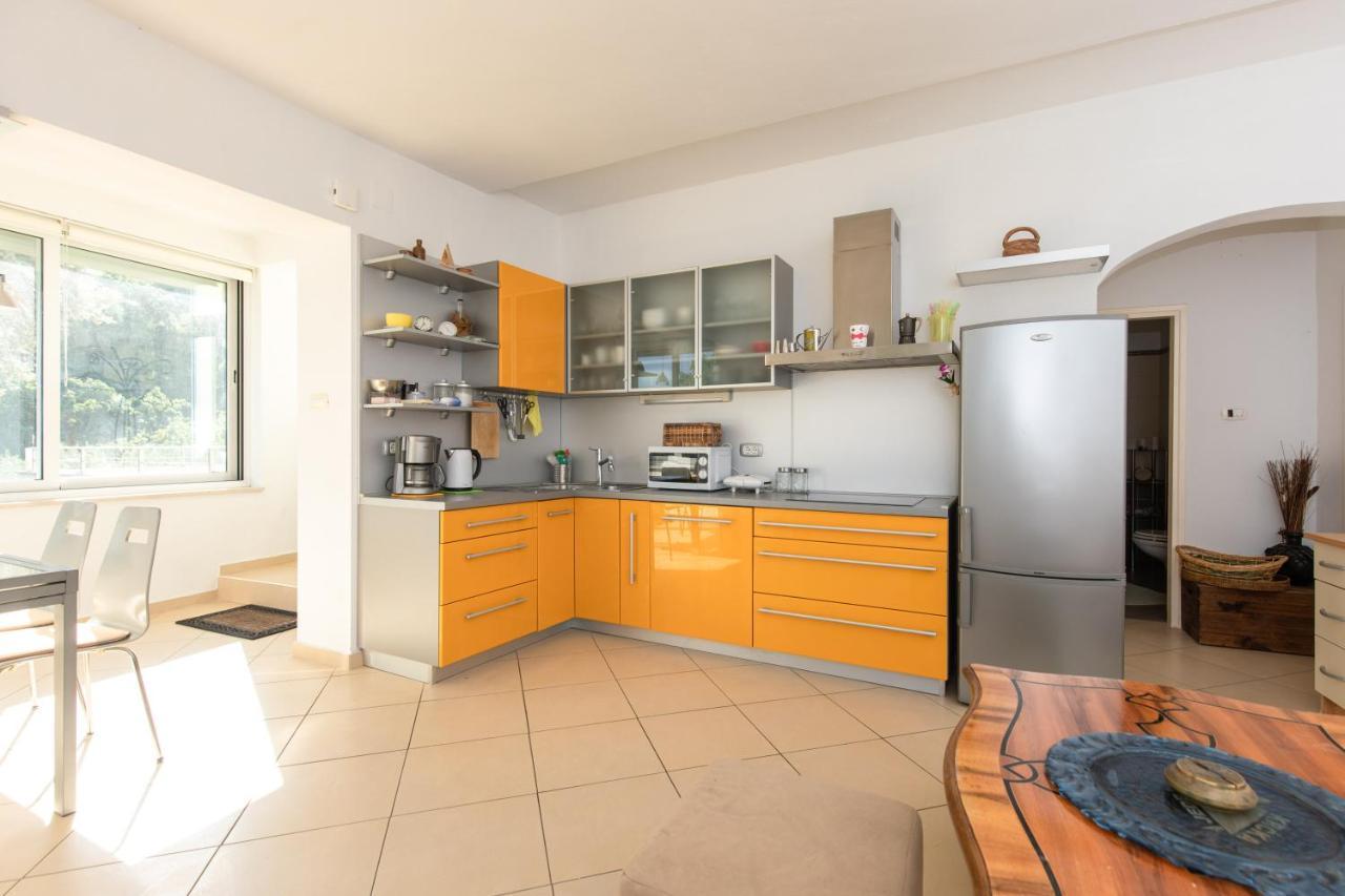 Portapisana Just 50m From The